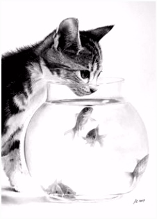 Kleurplaat Kittens 69 Beste Afbeeldingen Van Kleurplaten Van Katachtige Pencil X5yk79egd4 Xudk6vzsgs