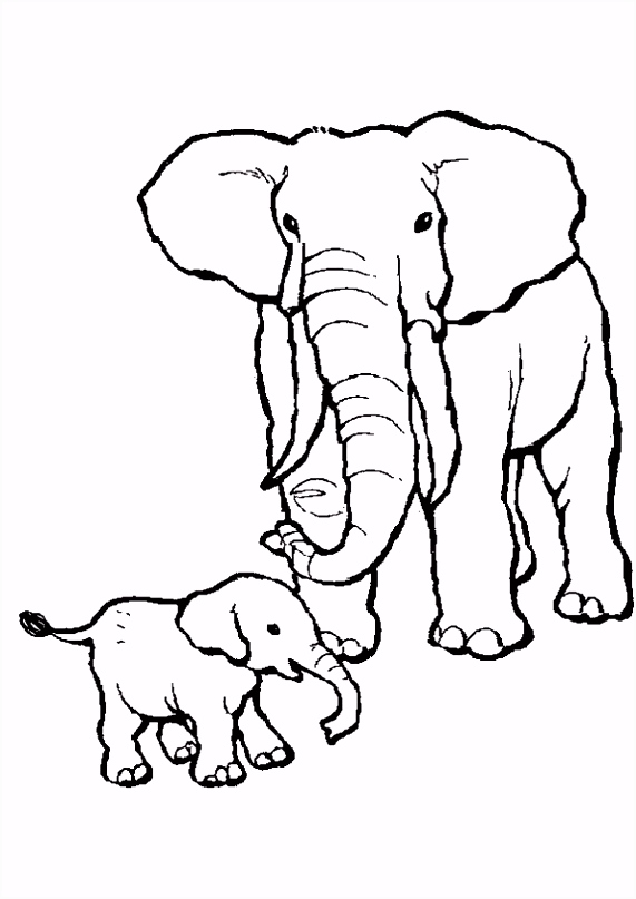 Kleurplaat Olifant Printen Kleurplaat Olifanten 7057 Z6ie14ryf6 Umrx56oxs5