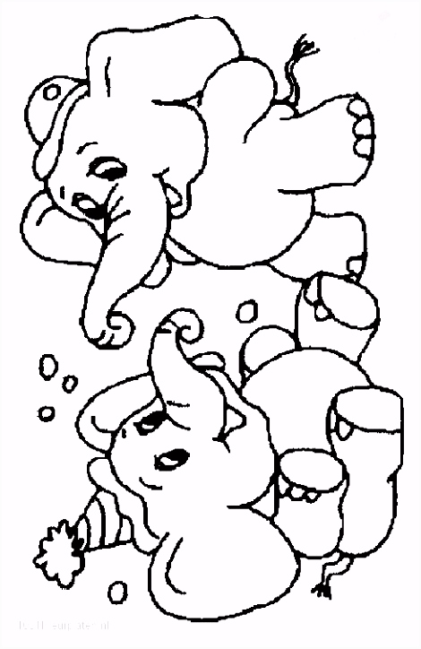 Kleurplaat Olifant Printen Olifanten Dieren[dag] Kleurplaten W2zo93grf5 Thoah4jqu0