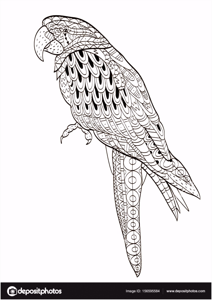 Kleurplaat Papegaai Papegaai Tropische Vogel Vectorillustratie Kleurboek Voor T4na31nde4 asqc46hrws