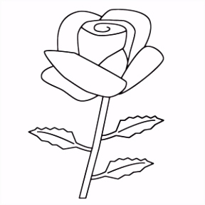 Kleurplaat Roos Bloemen Kleurplaten I2df55hke8 Gmnkvusxs2