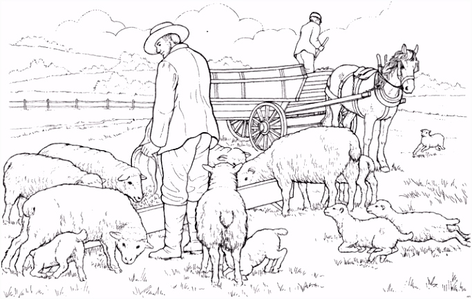 Kleurplaat Schaap Kleurplaten Kodde Kudde I8tu52hou5 H5qdmsyaw4