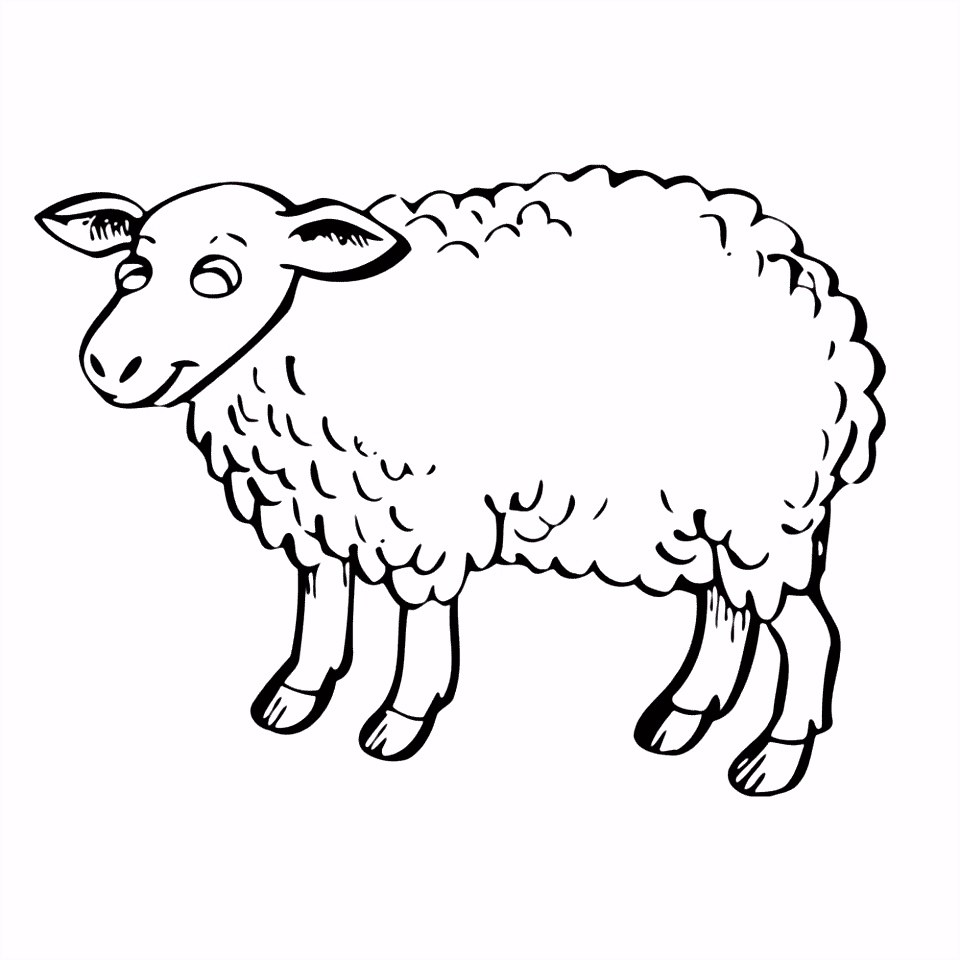 Kleurplaat Schaap Leuk Voor Kids – Schapen 0001 W6fe95efu3 O6agmuoqa4