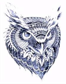 Kleurplaat Uil 331 Beste Afbeeldingen Van Owl Tattoo Tattoo Owl Drawings En Owl B7jl72hsb7 Csbbmmanw5