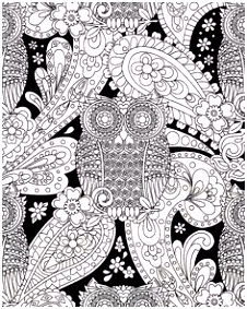 Kleurplaat Uil 534 Beste Afbeeldingen Van Coloring Owl In 2018 Abstract Adult H5wr26slr3 Q0icm5tksh
