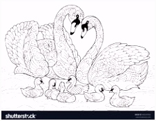 Kleurplaat Uil Mandala 1227 Beste Afbeeldingen Van Zentangle Vogels Vlinders In 2018 U2ts12arv3 I4bd25gdy2