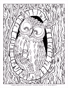 Kleurplaat Uil Mandala 344 Beste Afbeeldingen Van Vogels Uilen Enz Coloring Books B6pk94vsh5 B0ya5hshd2
