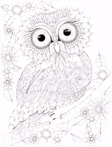 534 beste afbeeldingen van coloring owl in 2018 Abstract Adult