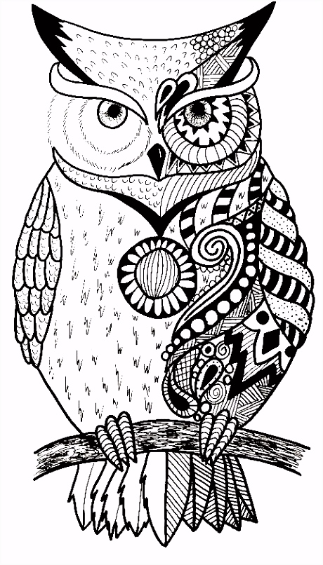 Kleurplaat Uil Pin Van Mariette Wings Op Uilen Owl L1yb65btg6 Hvhh6mvvb0