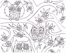 Kleurplaat Uil Volwassenen 11 Beste Afbeeldingen Van Kleurplaten Uil Owls Coloring Books En A4df66hgh3 D6ra55tkuu