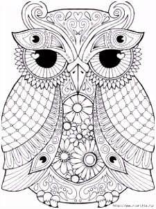Kleurplaat Uiltje 1619 Beste Afbeeldingen Van Kleurplaten In 2018 Coloring Pages H9wb22iaf6 R5rtm2lec2