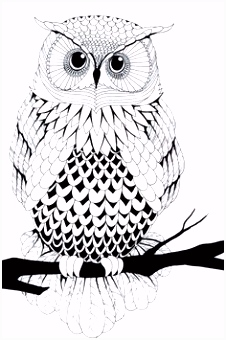 Kleurplaat Uiltje 5859 Beste Afbeeldingen Van Coloring Pages In 2018 Coloring Pages V7zs77fct3 F6uqm6jxn6
