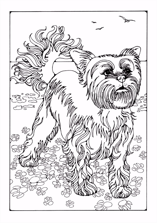 Kleurplaat Uki Dogs to Colour In D1ys53dkd4 D6tgvutdp6
