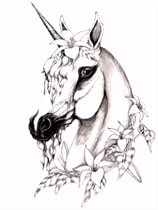Kleurplaat Unicorn 309 Best Drawings Sketches Paintings Art and More Images On Z1rm36kai5 Tmesssbywh