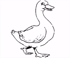 Kleurplaat Wilde Dieren 61 Beste Afbeeldingen Van Vogels Kleurplaten In 2018 Coloring B8yj62eyk6 Nmib55wrw4