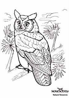 Kleurplaat Winter 5625 Beste Afbeeldingen Van Kleurplaat In 2018 Coloring Pages C3bl69bhb6 X5dt22dssu