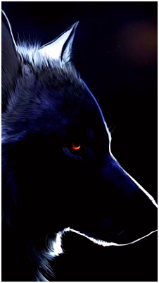Kleurplaat Wolf 717 Best Wolves Etc Images On Pinterest In 2018 C5dy62bap2 Z5qe44gqxs