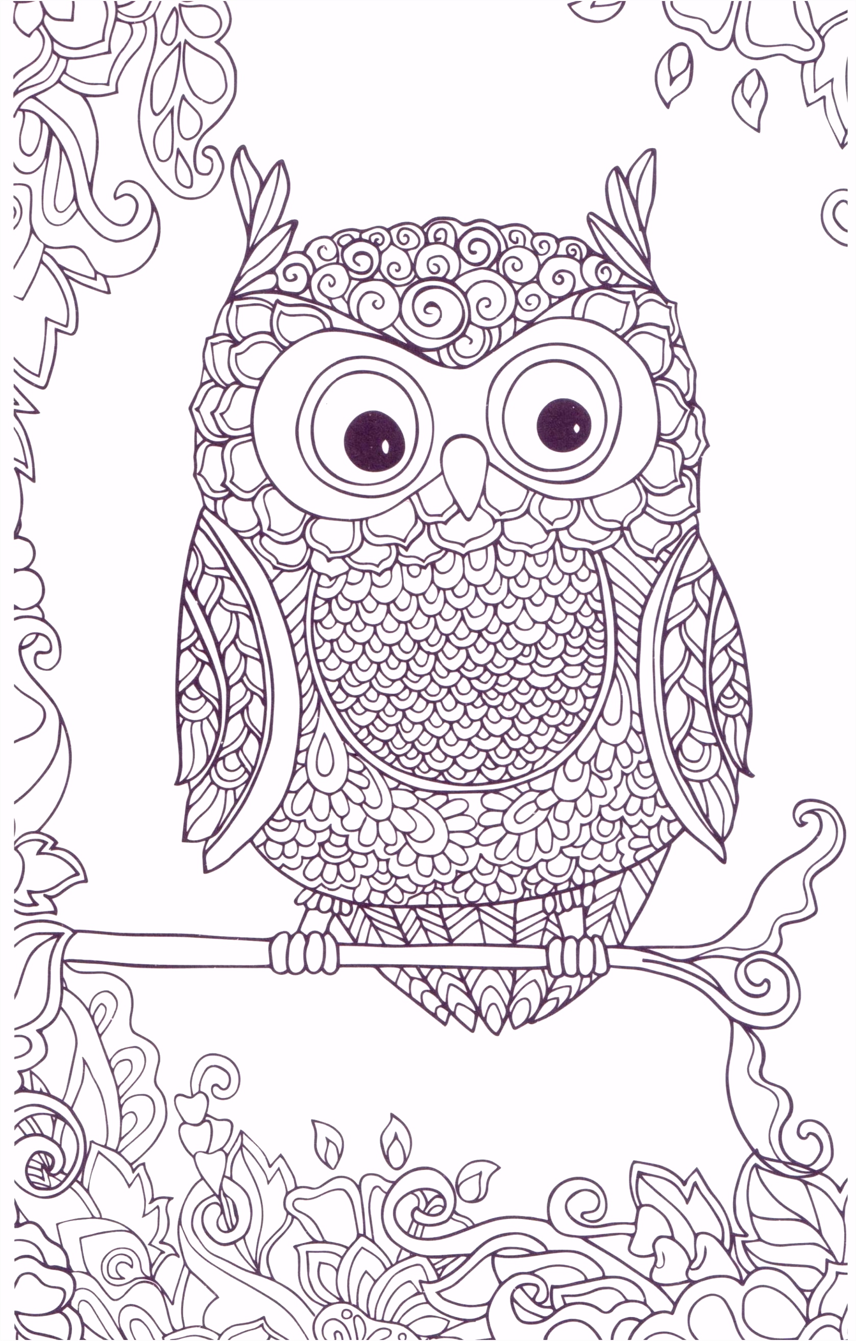 Kleurplaat Xavier Uil Kleurplaat Owl Colouring Page G2tb83ewx3 B6awmmthxu