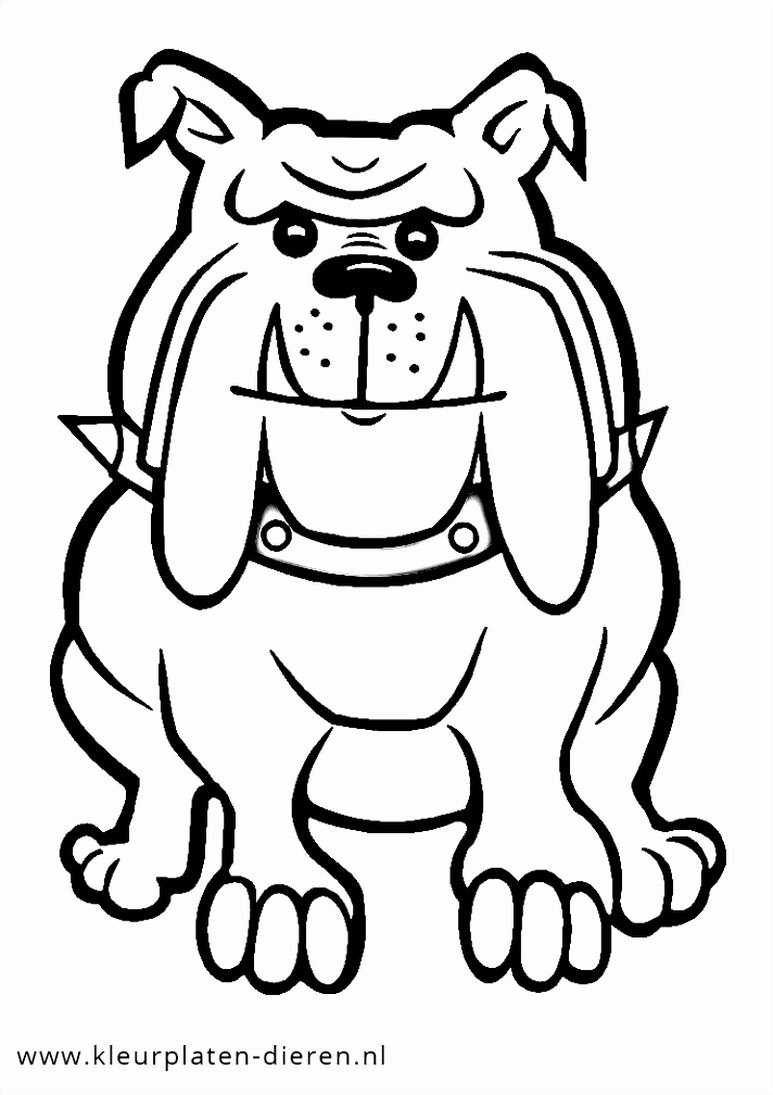 Kleurplaat Zeedieren Kleurplaat Bulldog Kleurplaten Dierenkleurplaten Dieren Q6zk53ekl2 Tmnnsmkjau