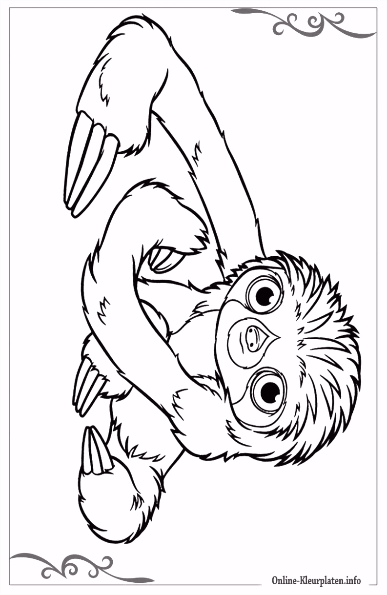Kleurplaten Adiboo the Croods Simpele Kleurplaten Voor De Allerkleinsten Y5sg85nmm1 O4qi44glru
