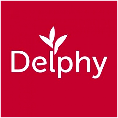 Kleurplaten Afghaanse Windhond Delphyen Delphyen U6ec25goo2 U6yg64ueih