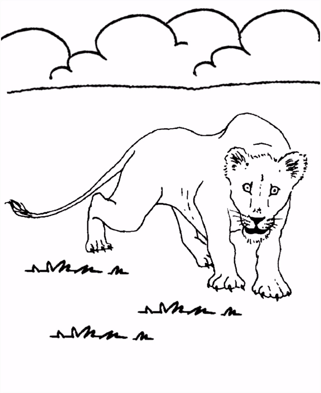 Kleurplaten African Safari 3d Adaswaisu Animals Pictures for Colouring I4od83lpx0 U4op25efh6