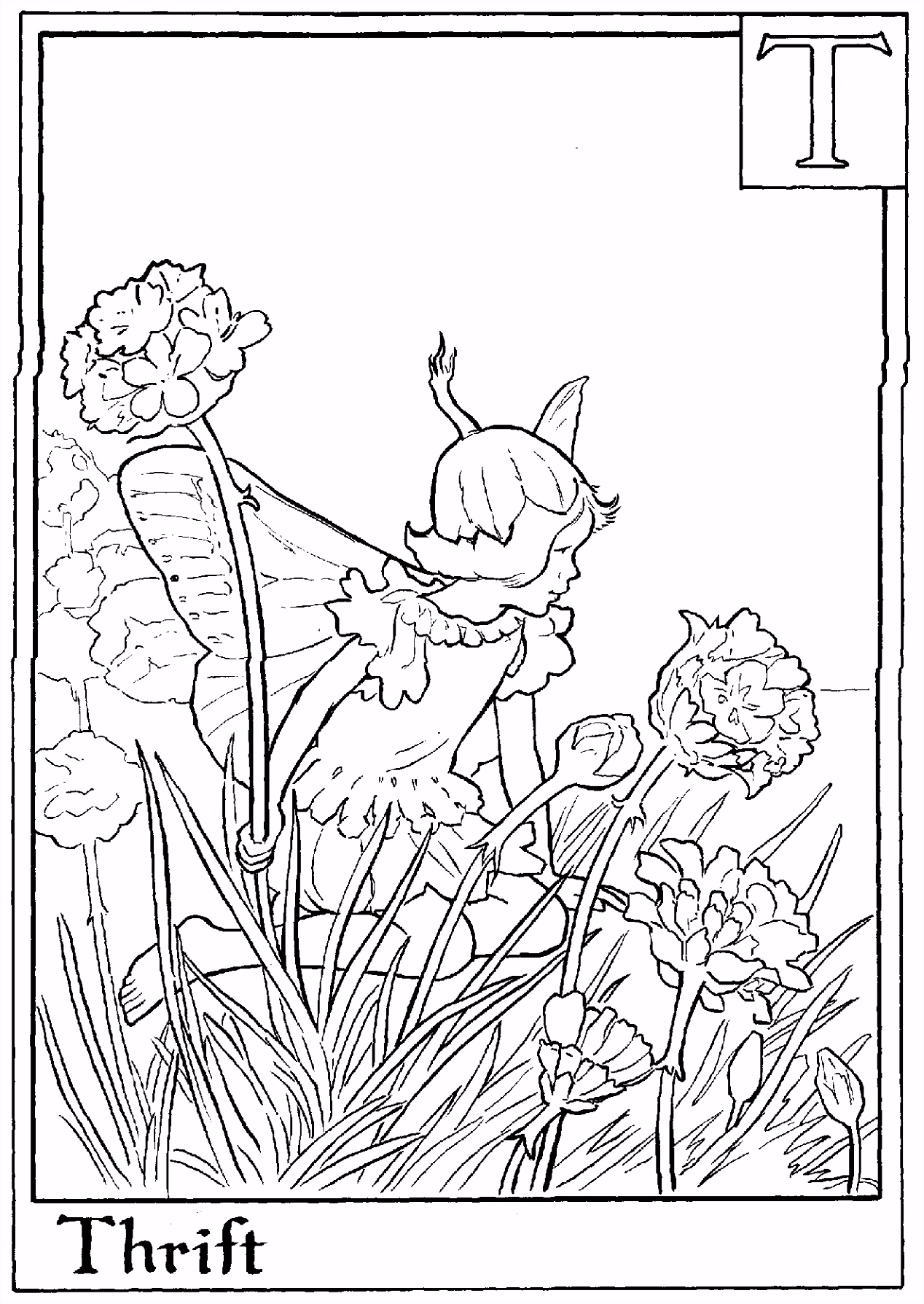 Kleurplaten Alfabet Elfjes Flower Fairies Coloring Pages Fairies Coloring Page U7iv84bxs7 Rstas6tew4