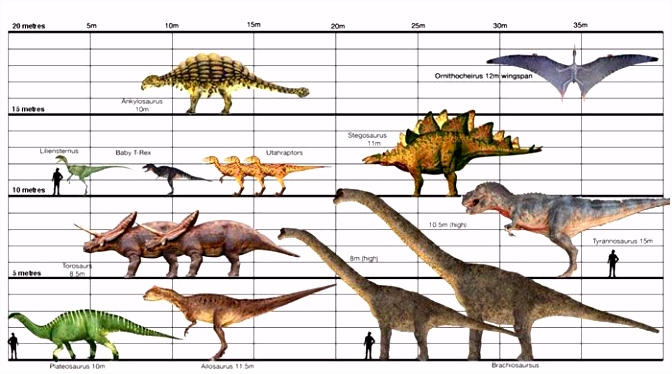 Kleurplaten Anchiceratops Dinosaurus Dinosaurs Camps Ideas U8ir53nit6 N2pn42ztqh