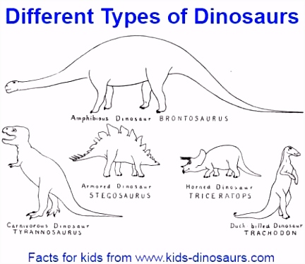 Kleurplaten Ankylosaurus Fun Dinosaur Facts and Interesting Facts About Dinosaurs E2rt56dcv8 N2ofhunek4