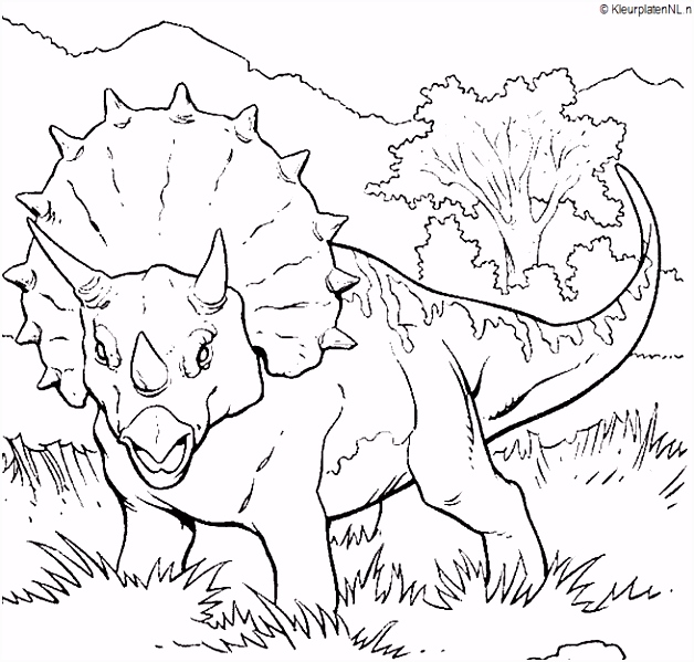 Kleurplaten atlantische Draak Kleurplaten Dinosaurus King Archidev X7oj25gdi6 Y6be55jxgu