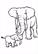 Kleurplaten Babar De Olifant 31 Beste Afbeeldingen Van Taaltas Knoop Het In Je Slurf M3mk11vtd2 Q6ia2mgsb4
