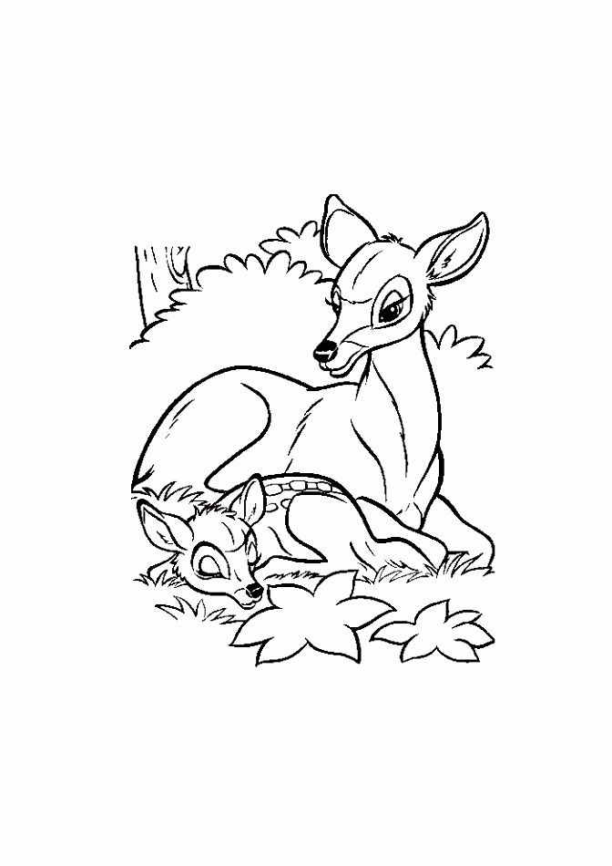Kleurplaten Bambi Bambi Samen Met Mama Bambi Kleurplaten Kleurplaat A8mr91clx6 Fubqv6lwtu