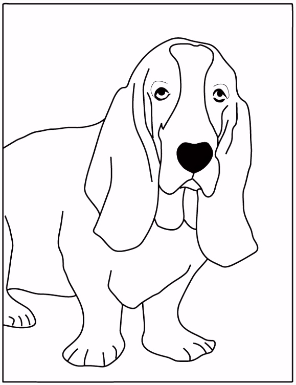 Kleurplaten Basset Basset Hound Kleurplaten A6qh95tfn5 Xuebu0tfem