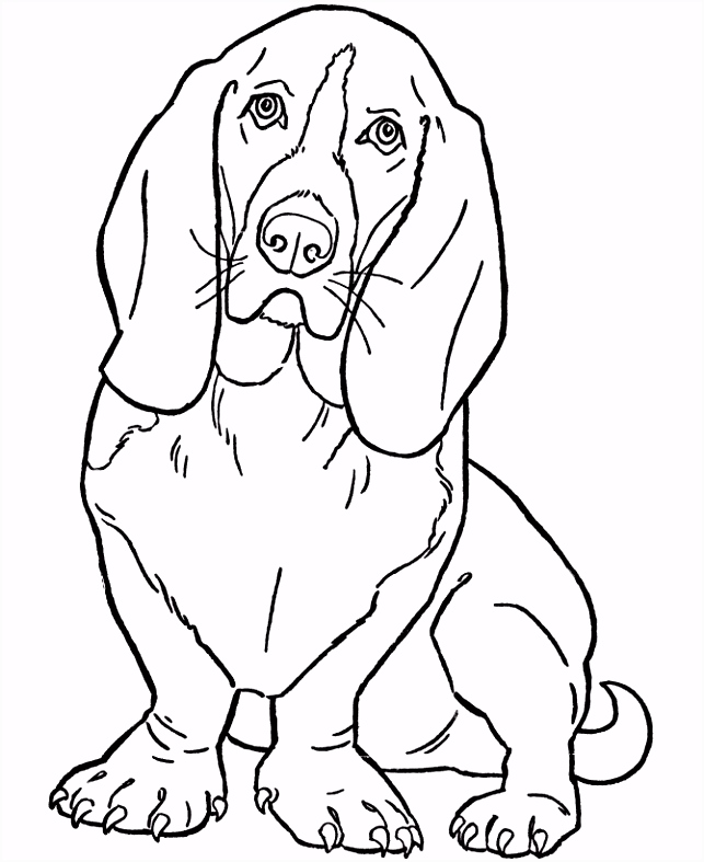 Kleurplaten Basset Dog Color Pages Printable Dog Coloring Pages M0fz32fep6 Rhgvhuhan2
