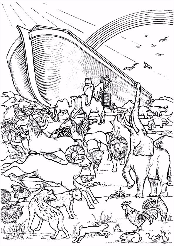 Kleurplaten Bijbel Ark Van Noah Noah Kleurplaat Ark Kleurplaat Ark Van Noach – Wakashiragafo U0qs37upx3 B4bhuhwdh5