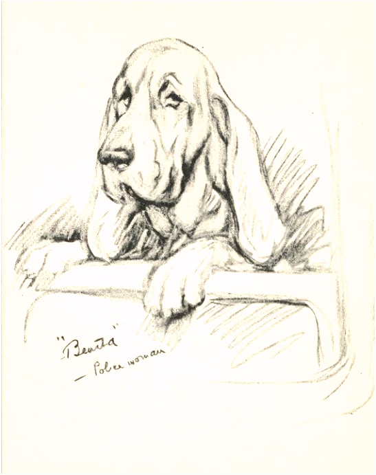 Kleurplaten Bloedhond 1937 Vintage Dog Print Bloodhound orig Lucy Dawson Print Custom D4gy63sgr1 Psxgu6iles