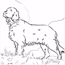 Kleurplaten Bloedhond 437 Beste Afbeeldingen Van Stempel Honden In 2018 Drawings Pencil T4iy90spe6 E6pk42lgk2