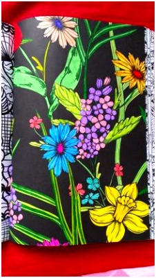 Kleurplaten Bloemen Voor Volwassenen 57 Beste Afbeeldingen Van Voorbeelden Kleurplaten Adult Colouring S6me13tng7 H4nq6vfszh