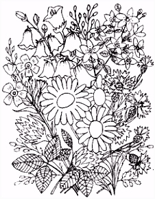 Kleurplaten Boeketten 56 Beste Afbeeldingen Van â¥ Illustraties Clip Art â¥ Blond T7id92iwv5 Osouh6g4w6