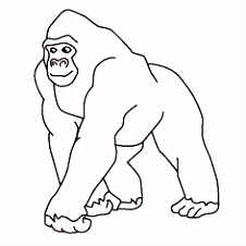 Kleurplaten Bokito De Gorilla 372 Best Jungle Ideas Images On Pinterest P8tn91gdu3 J6dl0hudg2