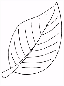 Kleurplaten Bomen En Blaadjes 15 Beste Afbeeldingen Van Herfst In 2018 A5 Crafts En Infant Crafts U3br75hzo3 W5ylm0mxe4