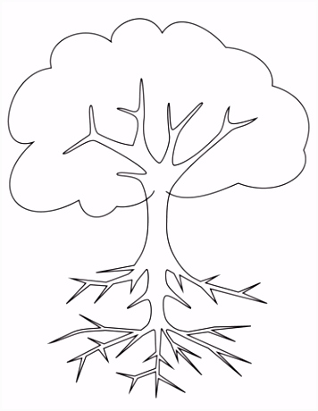 Kleurplaten Bomen En Blaadjes Boom Met Wortels Kleurplaat N1yp94bkn6 V2gkhumqt2