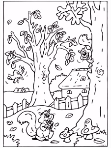 Kleurplaten Bomen En Blaadjes Kleurplaat Herfst Eekhoorn Eikels Kleurplaten U4wu16bar5 U2ypvmnfu6