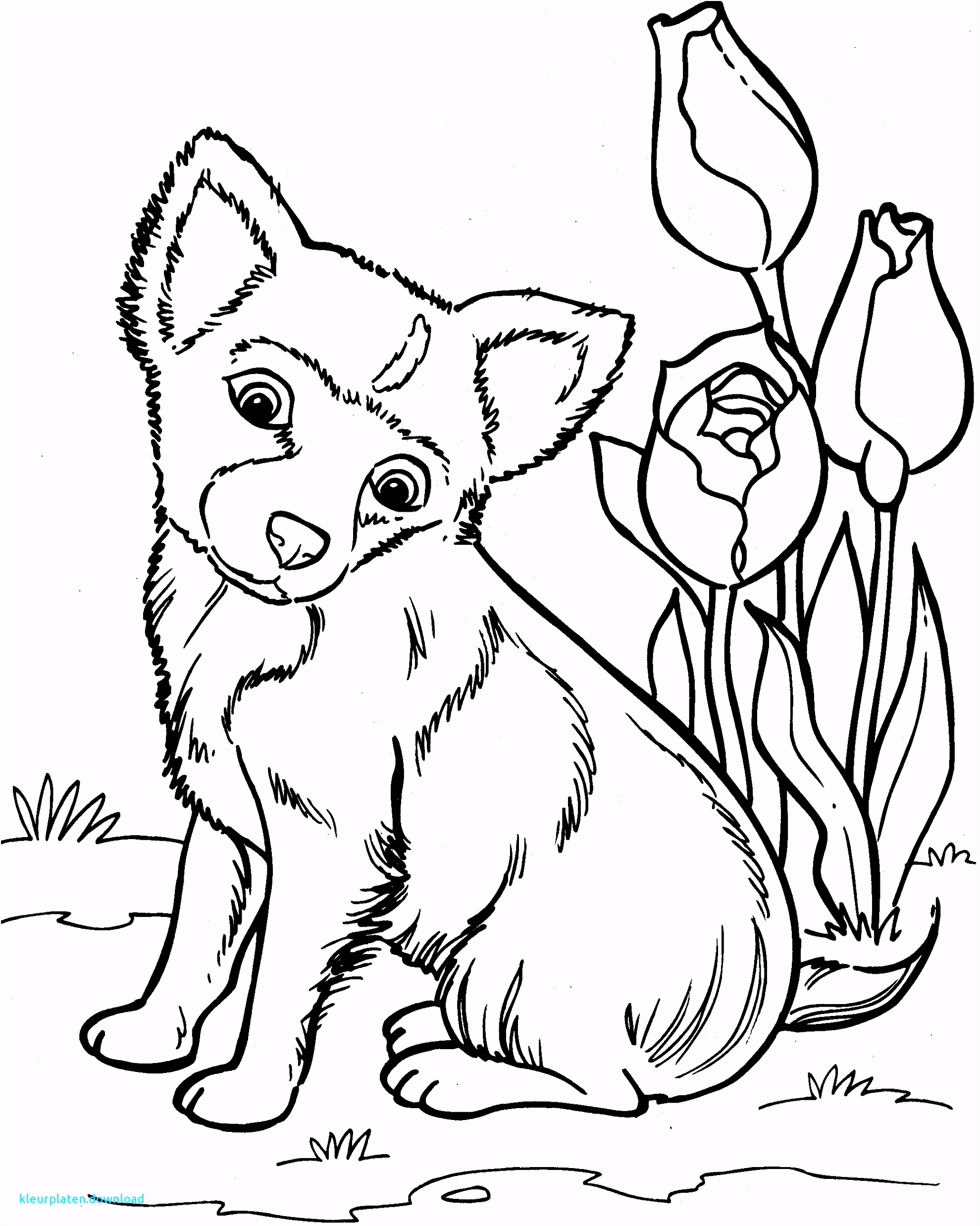 Kleurplaten Boze Hond Best Dieren Kleurplaten Hond Kleurplaten M8mq54ifs2 Y5qkshcfl6
