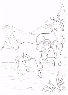 Kleurplaten Brother Bear 102 Best Disney Brother Bear Coloring Pages Disney Images On B9ye11zlk5 H5uf2hhdw6