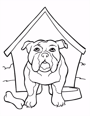 Kleurplaten Bulldog Buldog In Het Hondenhok Kleurplaat L3ue59bkx2 E5qd46vee4