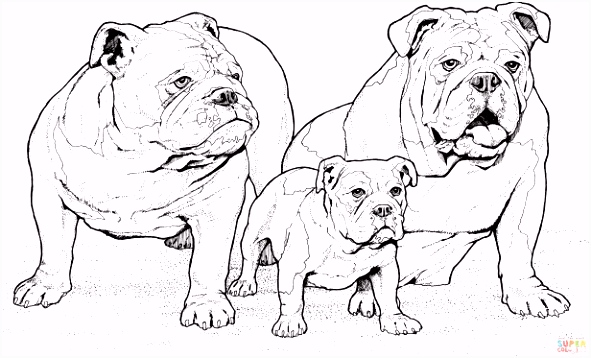 Kleurplaten Bulldog Kinderen Puppy Printable Kleurplaten Cute Hamster Coloring Pages B4ak36dsq5 Amhsu5juiu