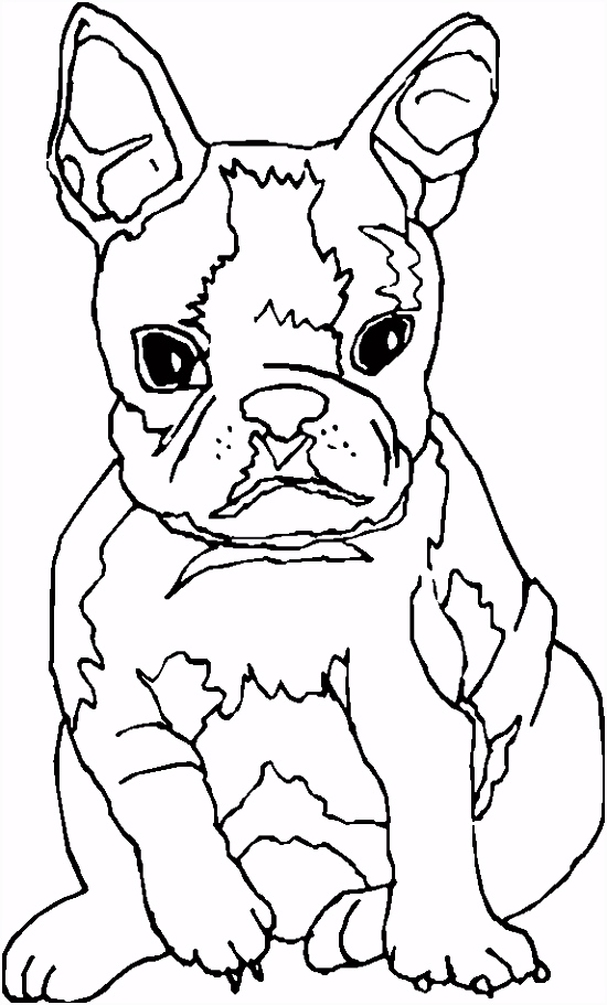 Kleurplaten Bulldog Kleurplaten Ren Puppy Kleurplaten Ren Honden Puppies Bulldog J5yy71hue7 Hmrs5sgkh2
