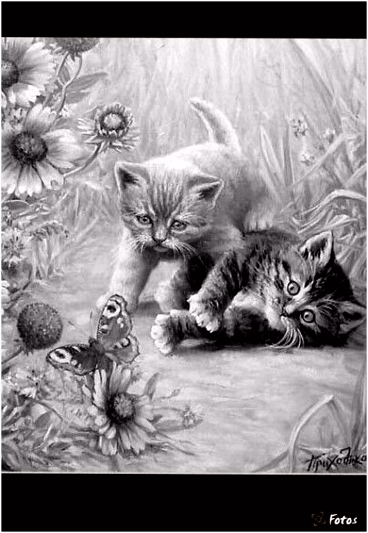 Kleurplaten Cat In the Hat 702 Best Kitties Images On Pinterest W7xu52hcd6 Rmqd5skfes