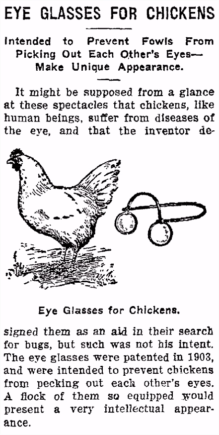 Kleurplaten Chicken Run Chicken Eyeglasses Q6gh54gum6 Uugsh6tauu